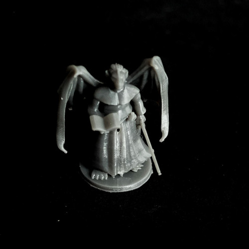 Dragonborn Priest